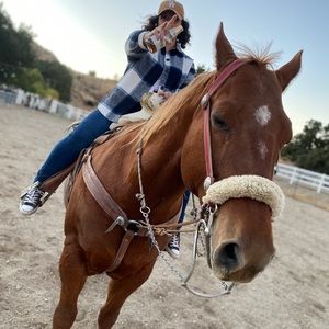 Meet your Posher, Ruby